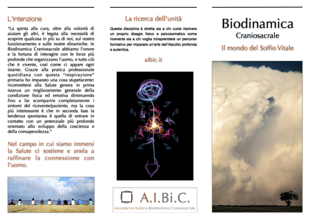 Brochure AIBiC 2017 2:2
